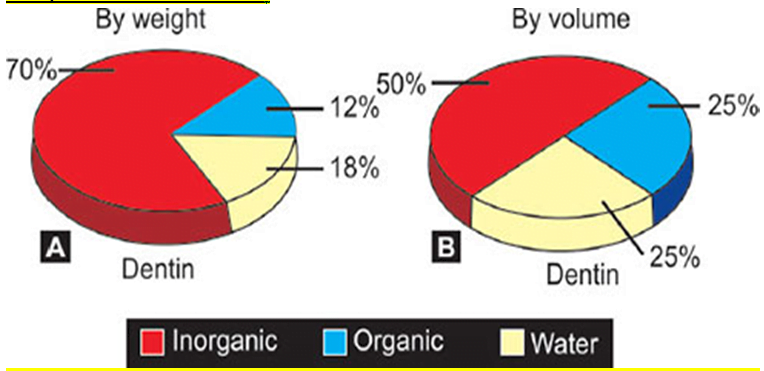 Dentin composition