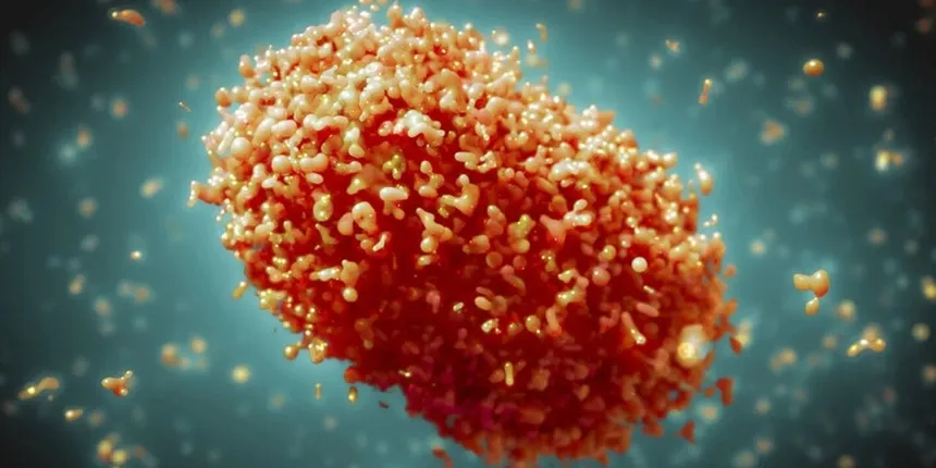 Mpox Virus