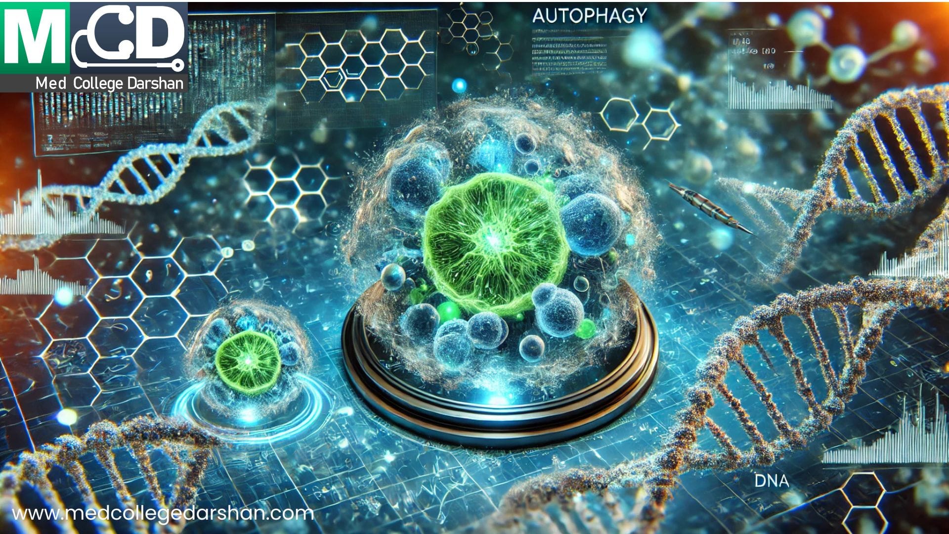 Autophagy